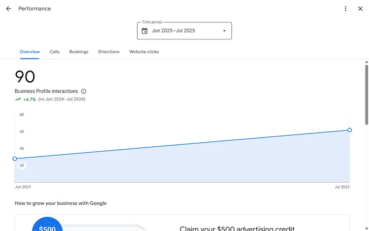 Using Google Business Profile Insights for local SEO